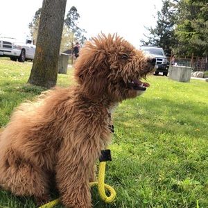 Meet your Posher, Aaron